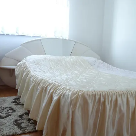 Kot Jarzebinowa 7 *